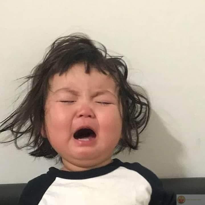 Tôi không muốn giải thích gì thêm, vì mệt