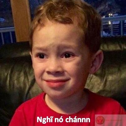 Ảnh bất lực meme