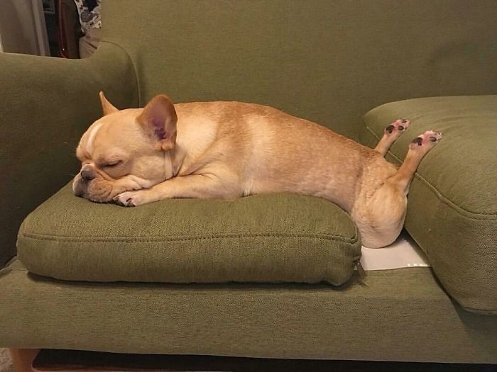 Chỉ cần gối và chăn là quên hết sự đời