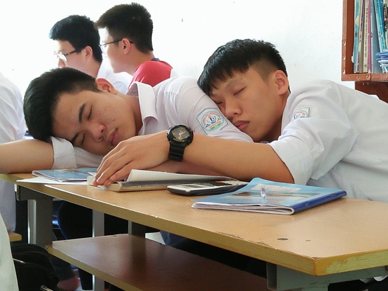 Tôi không lười, chỉ đang bảo tồn năng lượng