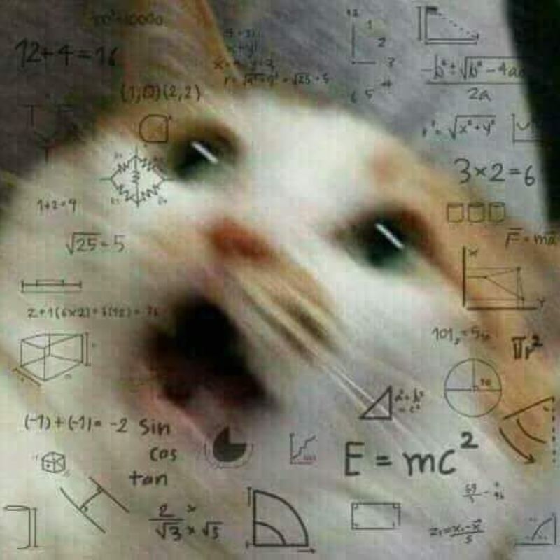 meme học bài