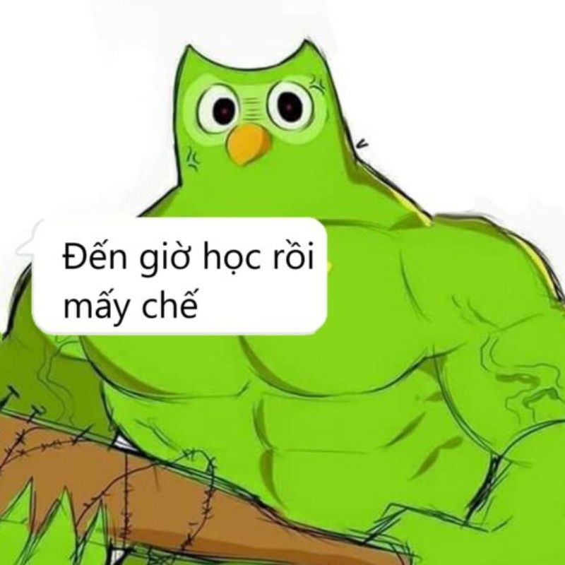 meme học bài