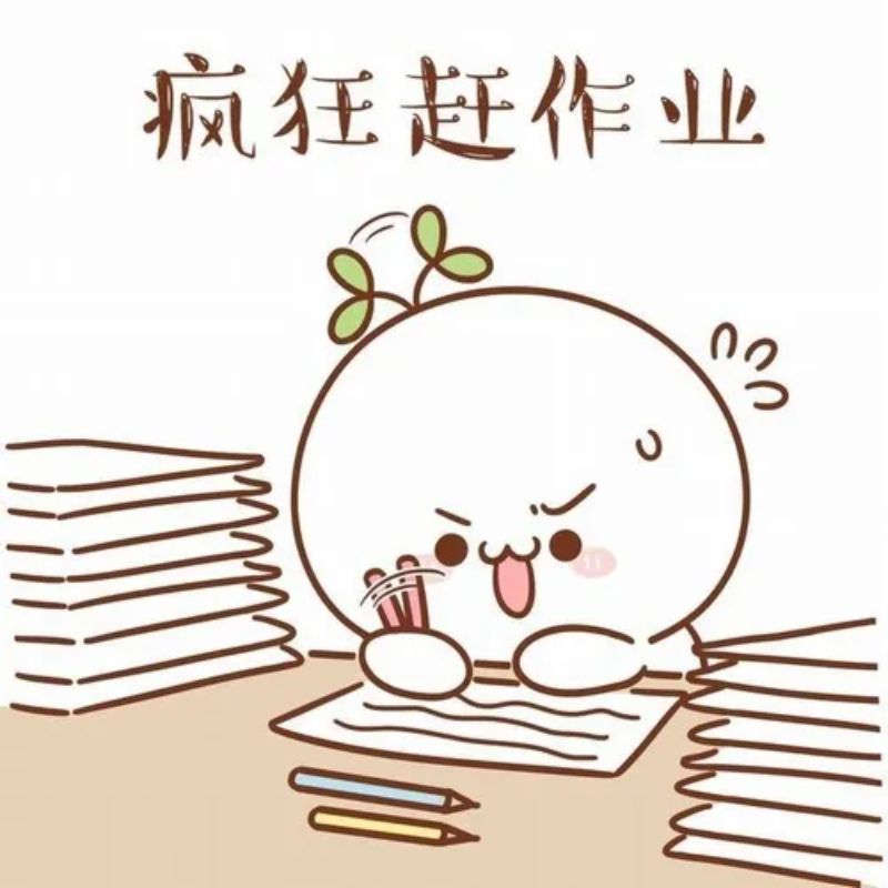 meme học bài