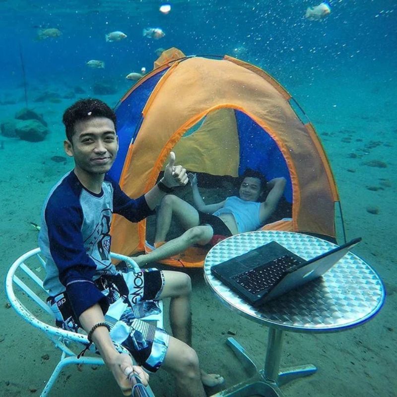 meme học bài