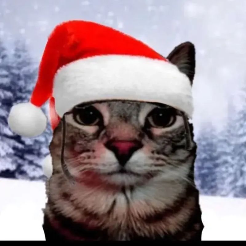 meme noel
