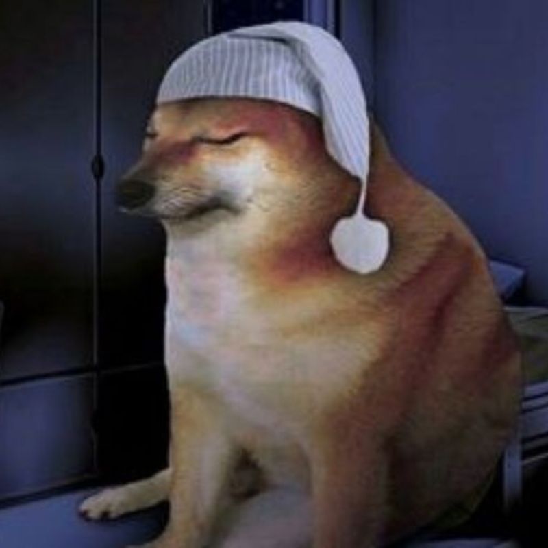 meme chó noel bùn