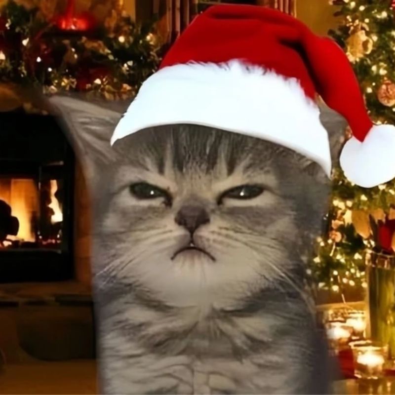 meme mèo noel siêu ngầu