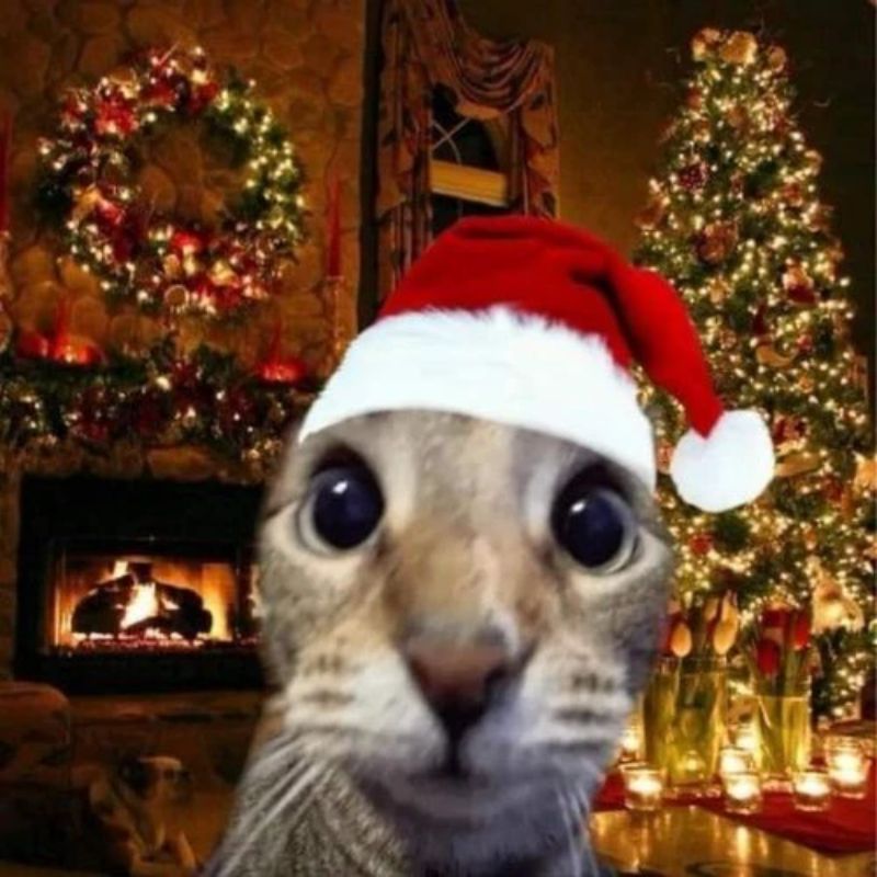 meme noel
