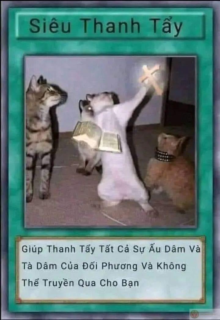 Lá bài meme thanh tẩy
