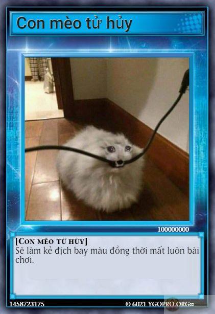 Bộ bài meme