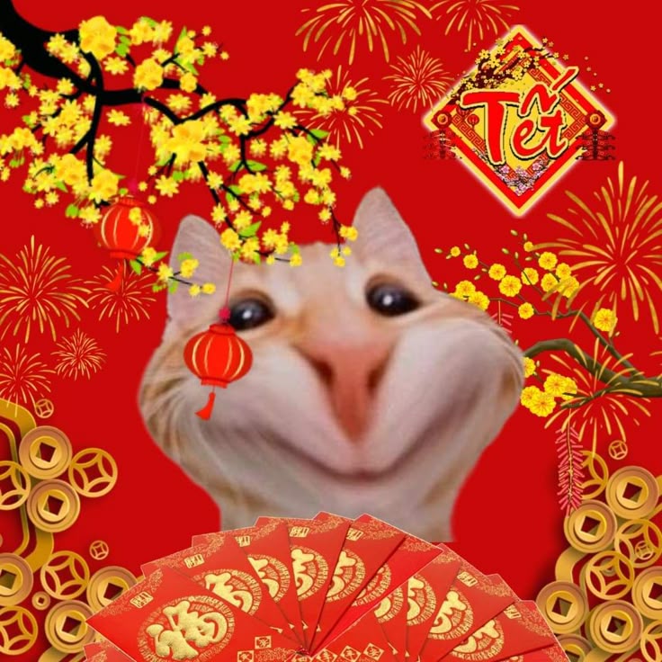 Avatar Tết meme