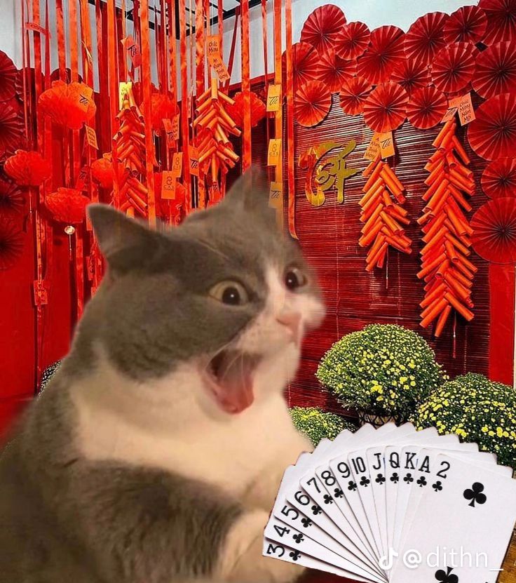 Ảnh meme Tết hài hước mang đến niềm vui trọn vẹn dịp đầu xuân