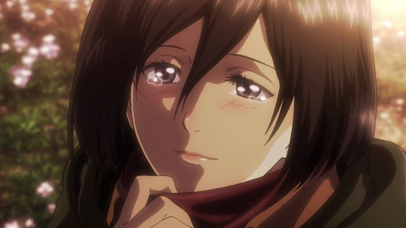 Mikasa Body Pillow