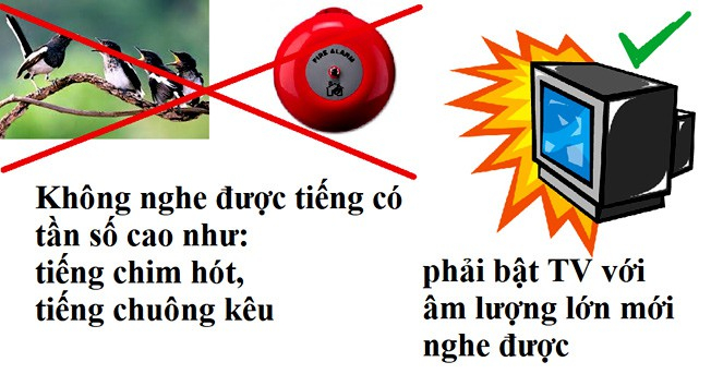Tai nghễnh ngãng - nếu phát hiện sớm, sẽ kiểm soát được! - Báo và Phát thanh - Truyền hình Ninh Bình