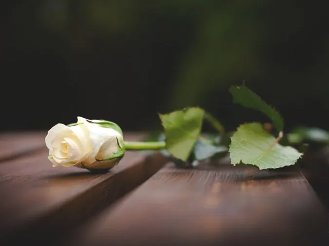 Giải thích ý nghĩa câu