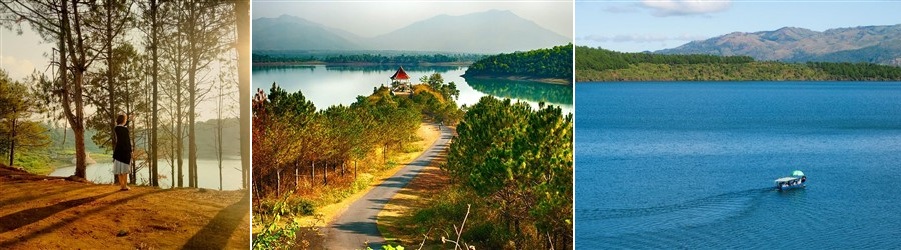 Tour Quy Nhơn – Măng Đen 2 ngày 1 đêm: Về với đại ngàn