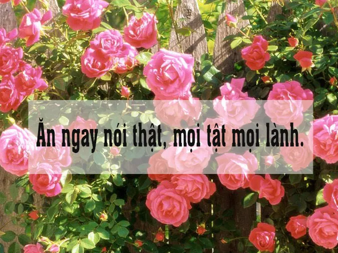 Ý nghĩa “Nói gần nói xa chẳng qua nói thật” là gì? 4