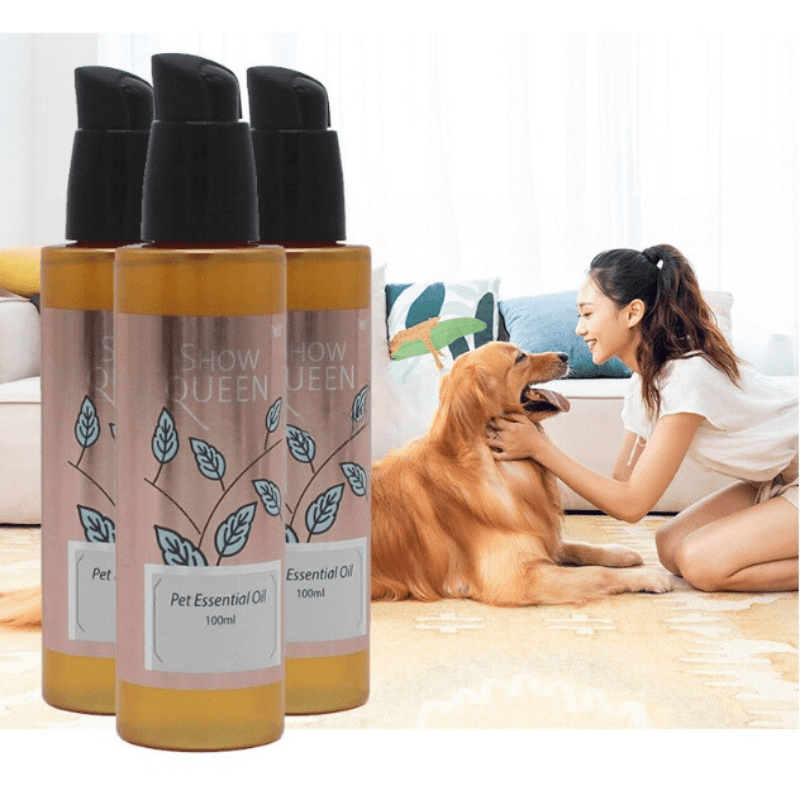 Có Nên Xịt Nước Hoa Cho Chó Không?