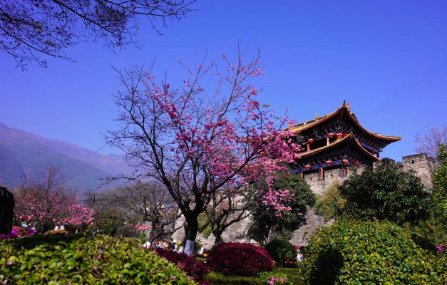 ‘Phong - Hoa - Tuyết - Nguyệt’ - tứ đại mỹ nhân trứ danh của đất Đại Lý