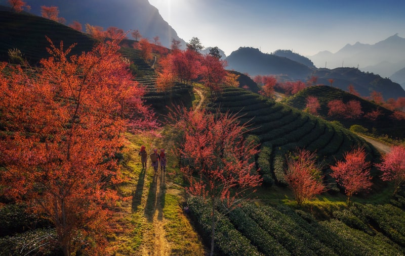 Sapa mùa này có gì đẹp