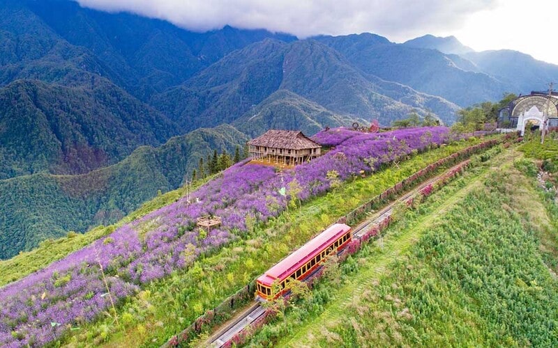 Đi Sapa mùa nào đẹp