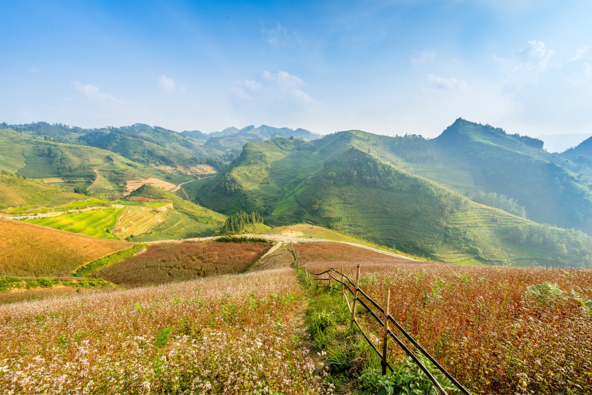 Sapa mùa hè có lạnh không