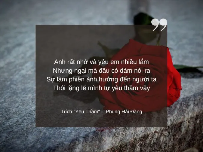 tho-tinh-yeu-don-phuong-voh-6