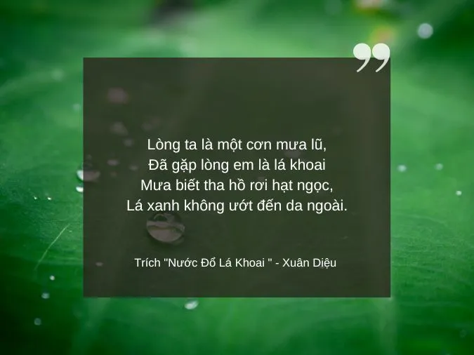tho-tinh-yeu-don-phuong-voh-11