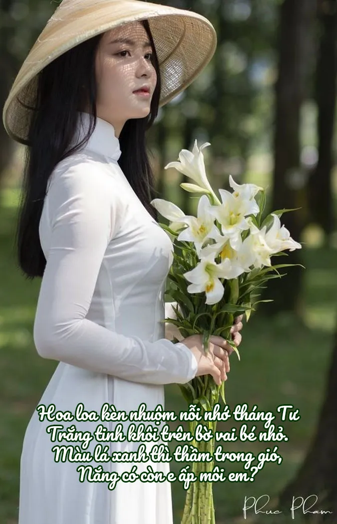 chum-24-bai-tho-ve-hoa-loa-ken-thang-4-mong-manh-va-tinh-khoi-voh-2