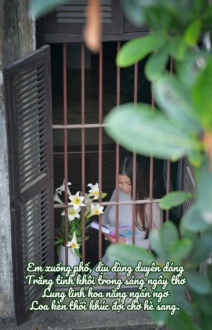chum-24-bai-tho-ve-hoa-loa-ken-thang-4-mong-manh-va-tinh-khoi-voh-1