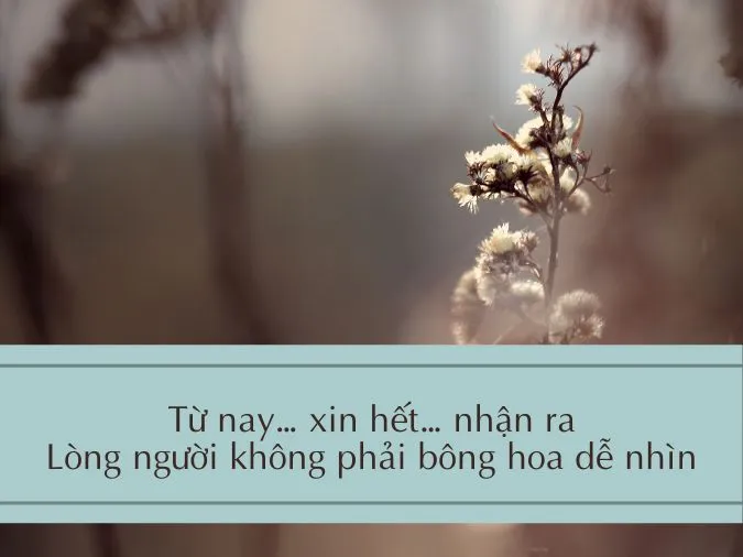 tho-ve-long-nguoi-voh-8