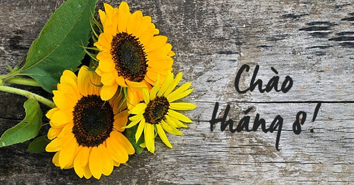 Những bài thơ về tháng 8 hay, đong đầy cảm xúc