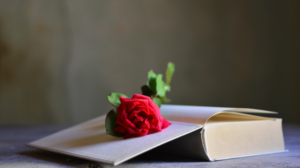 Chùm thơ nhớ người yêu da diết, tràn đầy xúc cảm cho đôi lứa