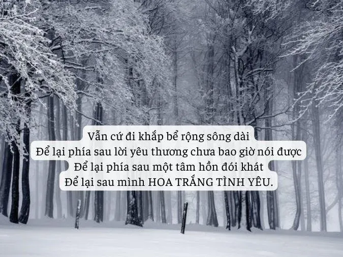Những bài thơ về màu trắng hay nhất 6