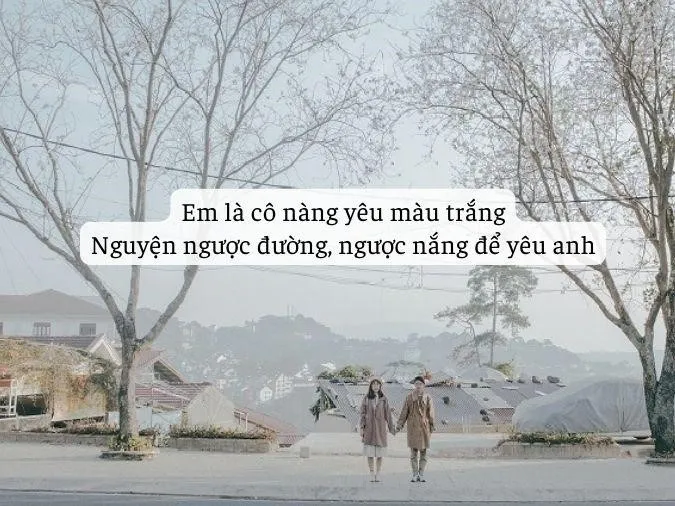 Những bài thơ về màu trắng hay nhất 7