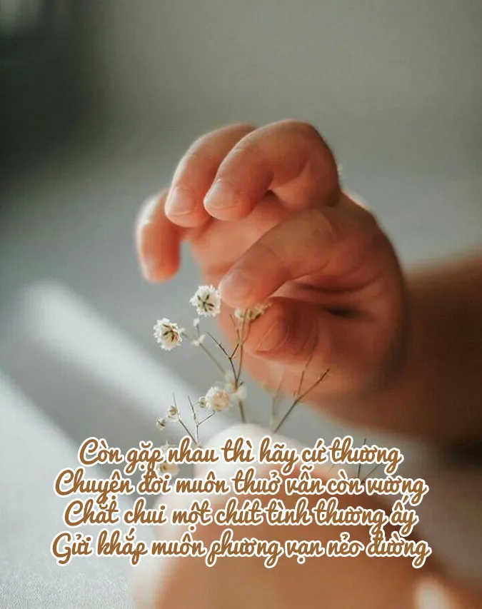 tuyen-chon-37-bai-tho-phat-giao-loi-day-sau-sac-ve-nhan-sinh-voh-8