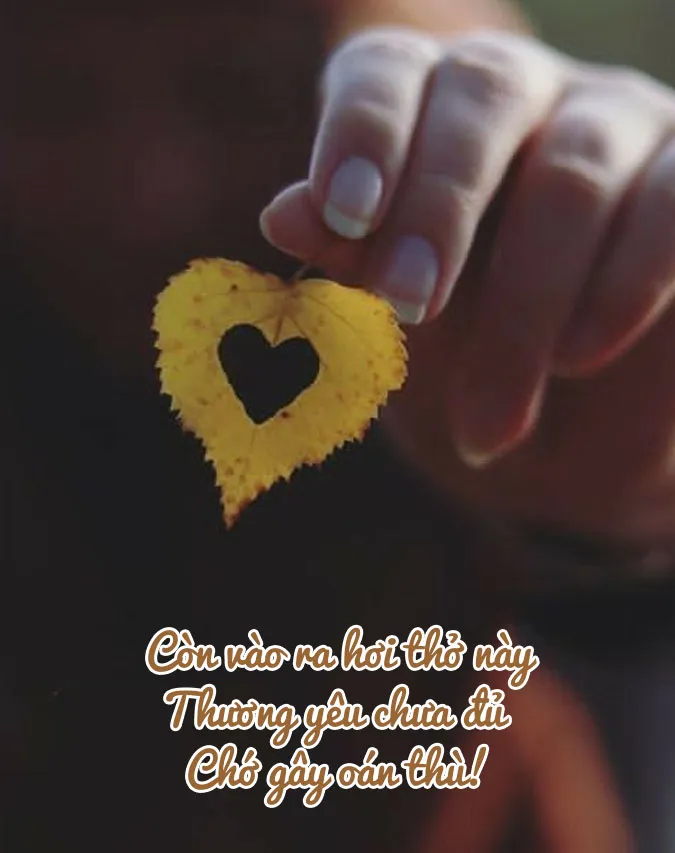 tuyen-chon-37-bai-tho-phat-giao-loi-day-sau-sac-ve-nhan-sinh-voh-0