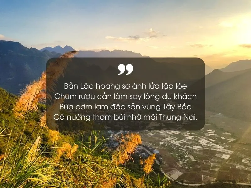 18 bài thơ về Hòa Bình hay, ý nghĩa và đặc sắc nhất 2
