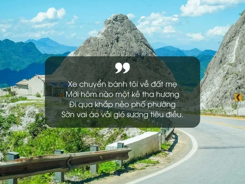 18 bài thơ về Hòa Bình hay, ý nghĩa và đặc sắc nhất 3