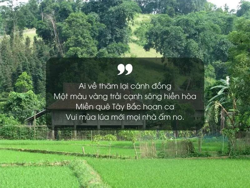 18 bài thơ về Hòa Bình hay, ý nghĩa và đặc sắc nhất 4