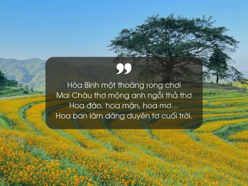 18 bài thơ về Hòa Bình hay, ý nghĩa và đặc sắc nhất 5