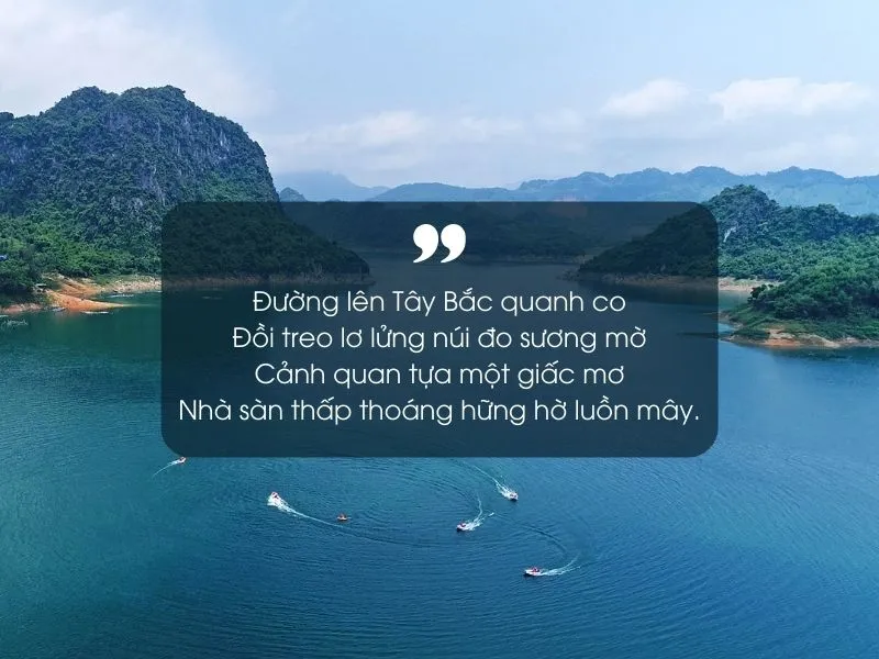 18 bài thơ về Hòa Bình hay, ý nghĩa và đặc sắc nhất 6