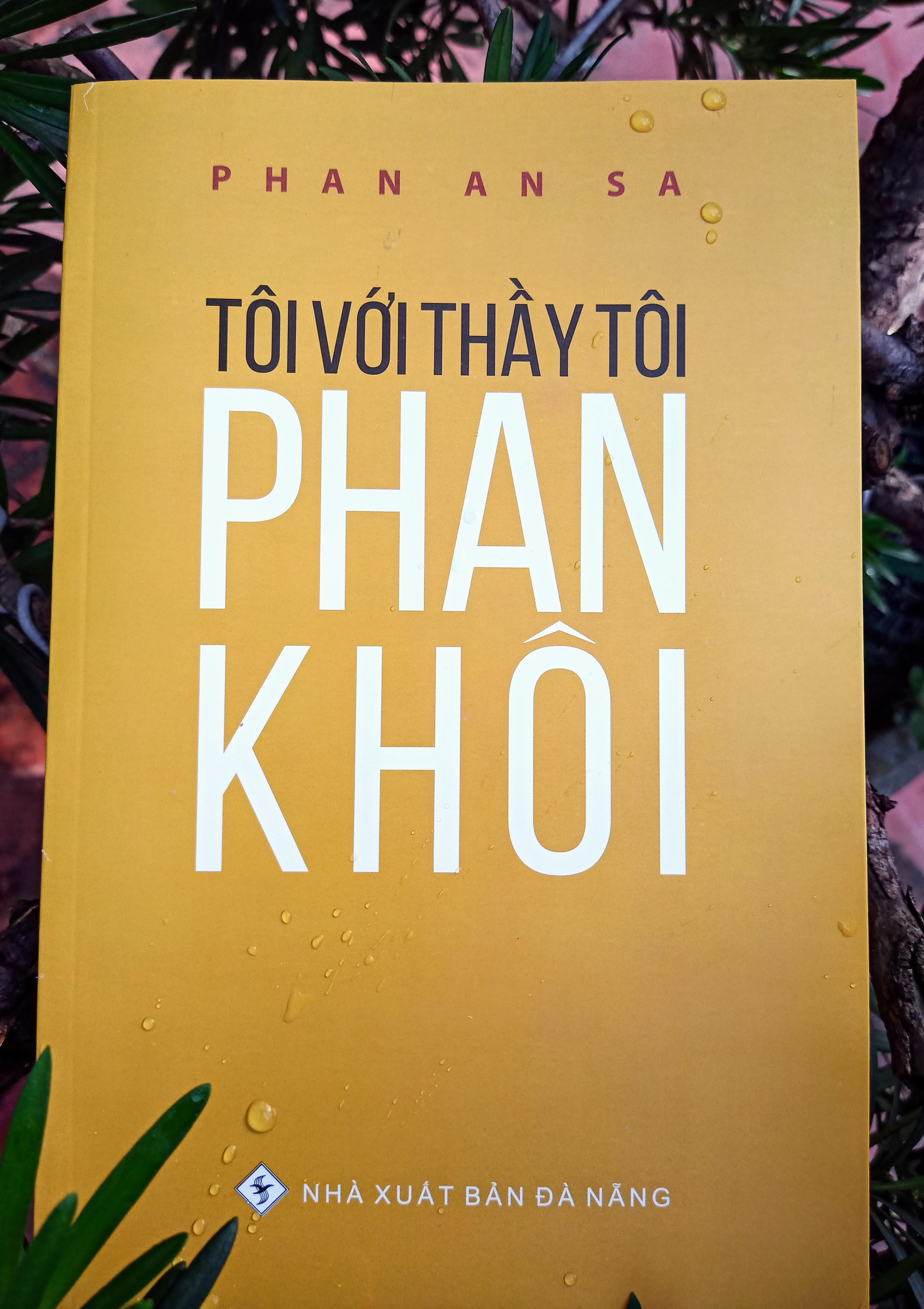 90 năm giở lại bài thơ Tình già của Phan Khôi