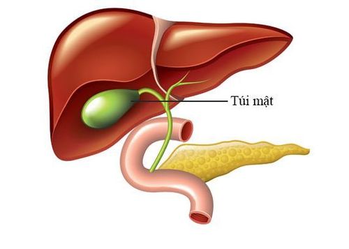 Đau tức hạ sườn bên phải là biểu hiện của bệnh gì?