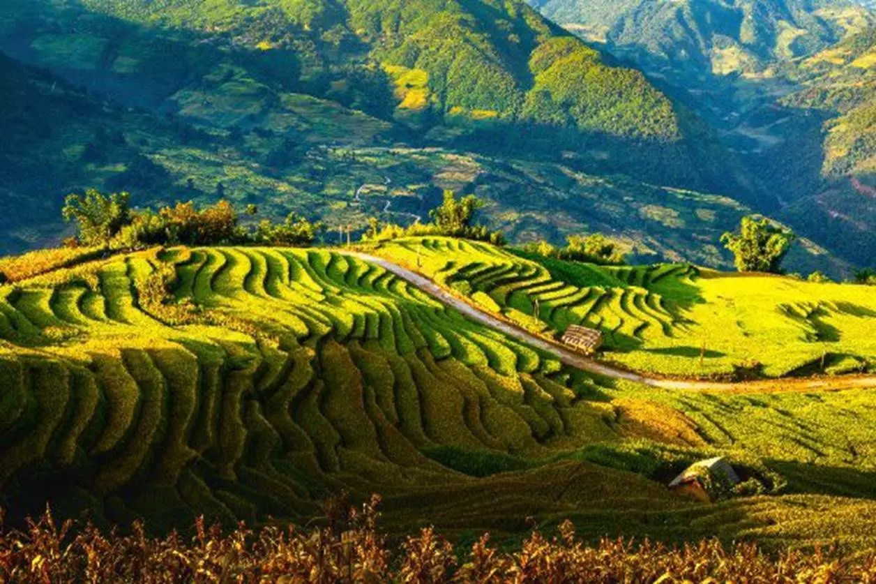 quê hương vùng núi