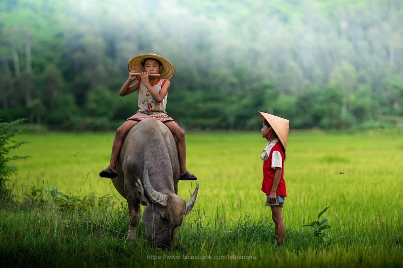 Tiếng Trung chủ đề quê hương – Từ vựng và Mẫu câu thông dụng