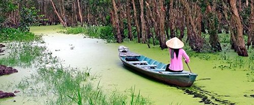 Cường Để Nữ Trung Học 68-75