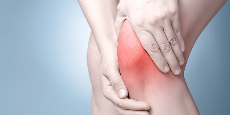 Quả bách xù là gì ? Tác dụng sức khỏe của quả bách xù 3