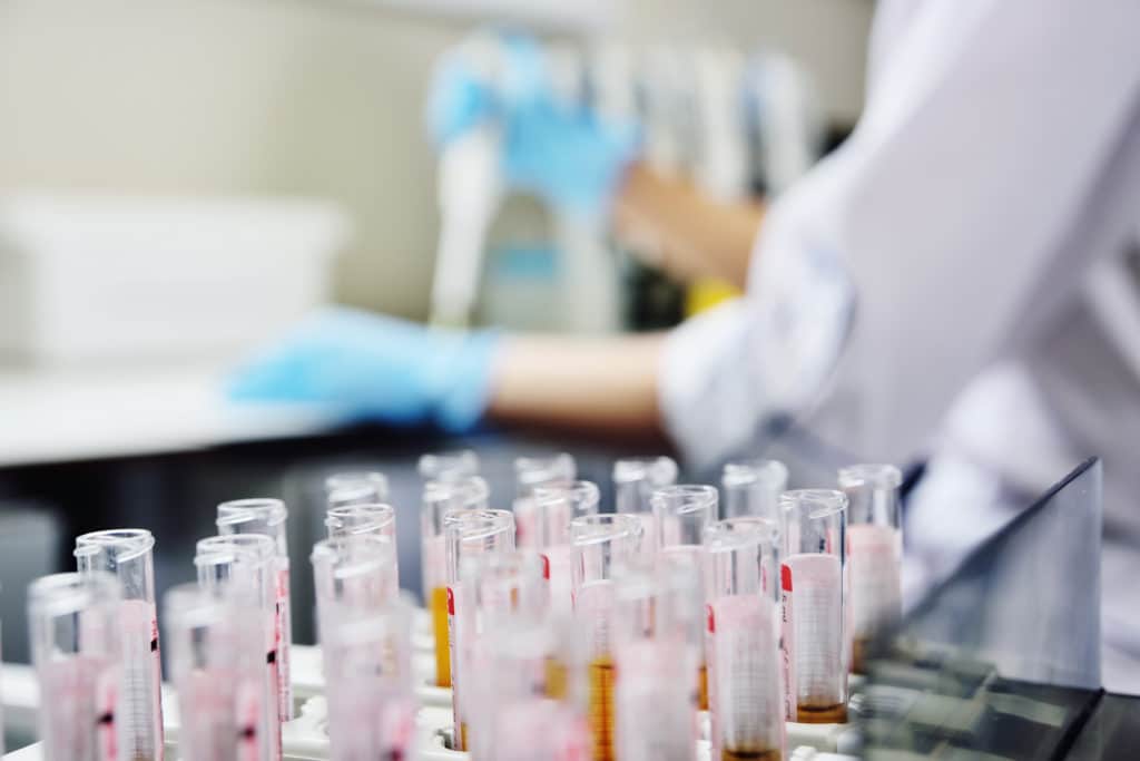 3X4 Genetics Review: Who Is the Service Best For?