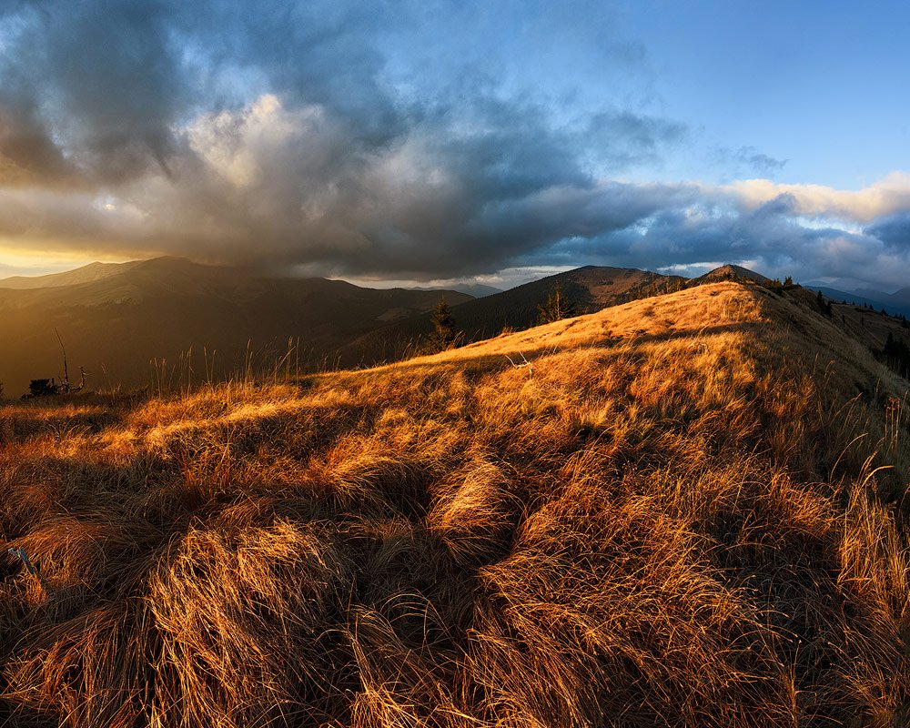 golden-hour-photography